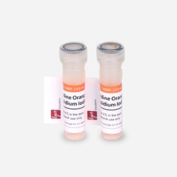 LOGOS BIOSYSTEMS INC Acridine Orange / Propidium Iodide Stain | 2 x 0.5