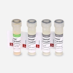 LOGOS BIOSYSTEMS INC QUANTOM Total Cell Staining Kit, Quantity: Each of