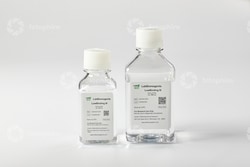 LAB BIOREAGENTS LowBinding III Buffer 250ml, Quantity: Each of 1