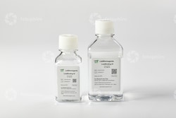 LAB BIOREAGENTS LowBinding VI Buffer 250ml, Quantity: Each of 1