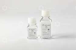 LAB BIOREAGENTS NGB I Buffer 250ml, Quantity: Each of 1