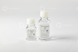 LAB BIOREAGENTS&nbsp;NGB III Buffer 250ml