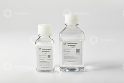 LAB BIOREAGENTS Strongblock I 500ML, Quantity: Each of 1