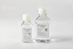 LAB BIOREAGENTS StrongBlock III Buffer 250ml