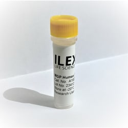 ILEX LIFE SCIENCES LLC Matrix Gla Protein (MGP) Human, E. coli Recombinant
