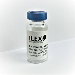 ILEX LIFE SCIENCES LLC Porcine Luteinizing Hormone (LH), Native Protein, Bioactive (200 IU)