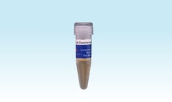 ILEX LIFE SCIENCES LLC Cellendes 3-D Life Dextranase, Hydrogel Accessory