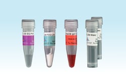 ILEX LIFE SCIENCES LLC Cellendes 3-D Life PVA-PEG Hydrogel SG Ready-To-Design