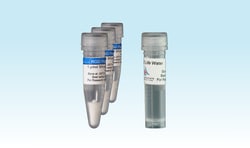 ILEX LIFE SCIENCES LLC Cellendes 3-D Life RGD Peptide, Hydrogel Cell Adhesion