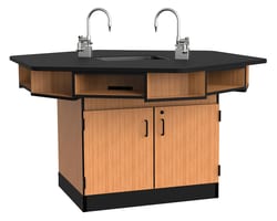National Public Seating 6-Person Workstation, Phenolic Top, Cabinet Base, Epoxy Sink and Gas Fixtures, No Power