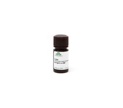 Zymo Research Corporation&nbsp;5-bromo-4-chloro-3-indolyl β-D-galactopyranoside (X-GAL) (5 x 5 ml)