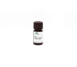 Zymo Research Corporation&nbsp;5-bromo-4-chloro-3-indolyl β-D-galactopyranoside (X-GAL) (5 ml) ^  '*'