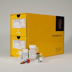 Promega ReliaPrep miRNA Cell and Tissue Miniprep System 50 Preps | Buy Online | Promega | Fisher Scientific