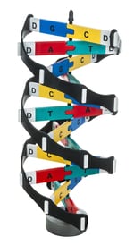 Kemtec DNA Model with Paint Kit DNA molecular model:Education