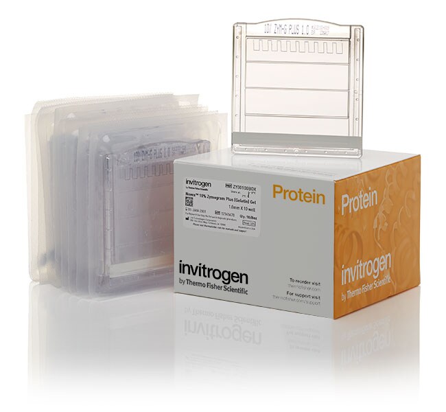 Invitrogen Novex Zymogram Plus (Gelatin) Protein Gels, 10well Gel