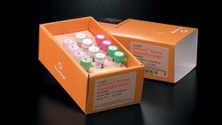 Promega&nbsp;ImProm-II&trade; Reverse Transcription