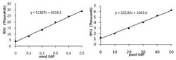 Abcam&nbsp;Glucose-6-Phosphate Assay Kit - High Sensitivity (Fluorometric)