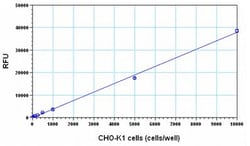 Abcam&nbsp;Resazurin Assay Kit - Cell Cytotoxicity (Fluorometric)