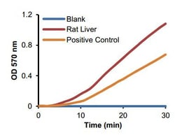 Abcam&nbsp;Arginase Activity Assay Kit (Colorimetric)