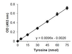 Abcam&nbsp;Tyrosine Assay Kit (Colorimetric)