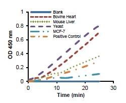Abcam&nbsp;Fumarase Activity Assay Kit (Colorimetric)