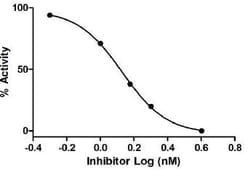 Abcam&nbsp;Thrombin Inhibitor Screening Assay Kit (Fluorometric)