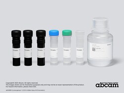 Abcam&nbsp;Cyclooxygenase 1 (COX1) Inhibitor Assay Kit (Fluorometric)