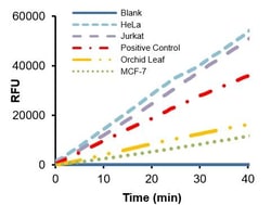 Abcam&nbsp;Hexokinase Activity Assay Kit (Fluorometric)