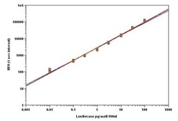 Abcam&nbsp;Luciferase Reporter Assay Substrate Kit - Firefly