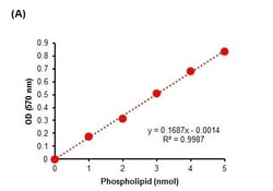 Abcam&nbsp;Phospholipid Assay Kit (Colorimetric/Fluorometric)