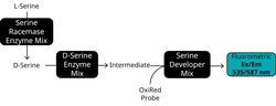 Abcam&nbsp;DL-Serine Assay Kit