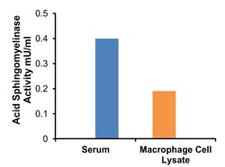 Abcam&nbsp;Acid Sphingomyelinase Assay Kit (Colorimetric)