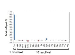 Abcam&nbsp;Ornithine Assay Kit (Fluorometric)