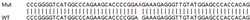 Abcam&nbsp;Human DNAJC14 knockout HeLa cell line