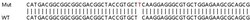 Abcam&nbsp;Human PHLDA3 knockout HeLa cell line