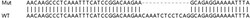 Abcam&nbsp;Human DNAJB4 knockout HeLa cell line
