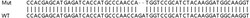 Abcam&nbsp;Human GABRE knockout HeLa cell line