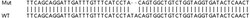 Abcam&nbsp;Human NDC1 knockout HeLa cell line