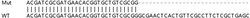 Abcam&nbsp;Human SPCS3 knockout HeLa cell line