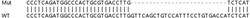 Abcam&nbsp;Human CPNE1 knockout HEK-293T cell line