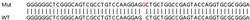 Abcam&nbsp;Human CIB1 (KIP) knockout HEK-293T cell line