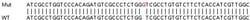 Abcam&nbsp;Human FXYD5 (Dysadherin) knockout HEK-293T cell line