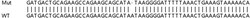 Abcam&nbsp;Human ATP2C1 knockout HEK-293T cell line
