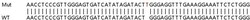 Abcam&nbsp;Human UBE2J2 knockout HEK-293T cell line
