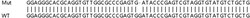Abcam&nbsp;Human JUP (gamma Catenin) knockout HEK-293T cell line