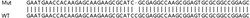 Abcam&nbsp;Human JMJD6 knockout HEK-293T cell line