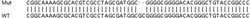Abcam&nbsp;Human SPCS1 knockout HEK-293T cell line