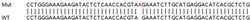 Abcam&nbsp;Human PIP5K1A knockout HEK-293T cell line