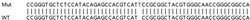 Abcam&nbsp;Human PDXK knockout HEK-293T cell line