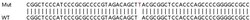 Abcam&nbsp;Human TP53INP2 knockout HEK-293T cell line